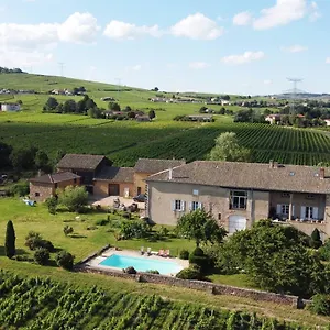 Domaine David-beaupère , Juliénas France